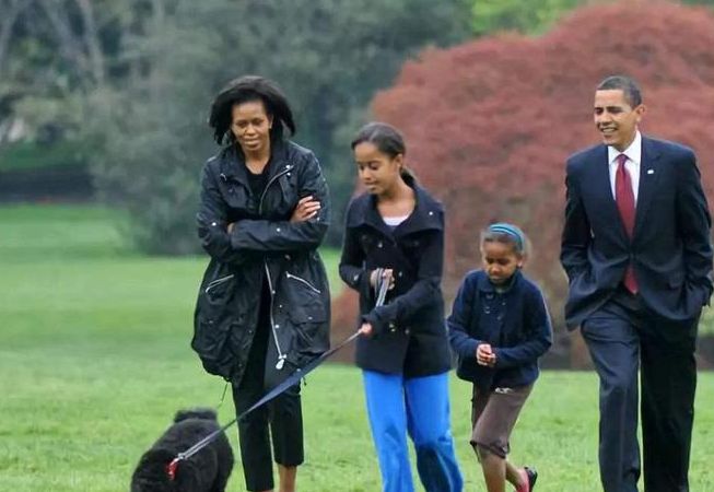 jiuyou网页登录-加时末段华盛顿奇才调整名单以备意甲，官宣签约环节打磨，压力陡增，训练强度明显提升的简单介绍